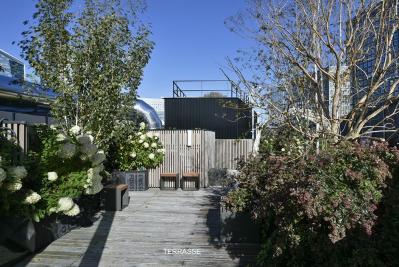The Curve - Rooftop 2